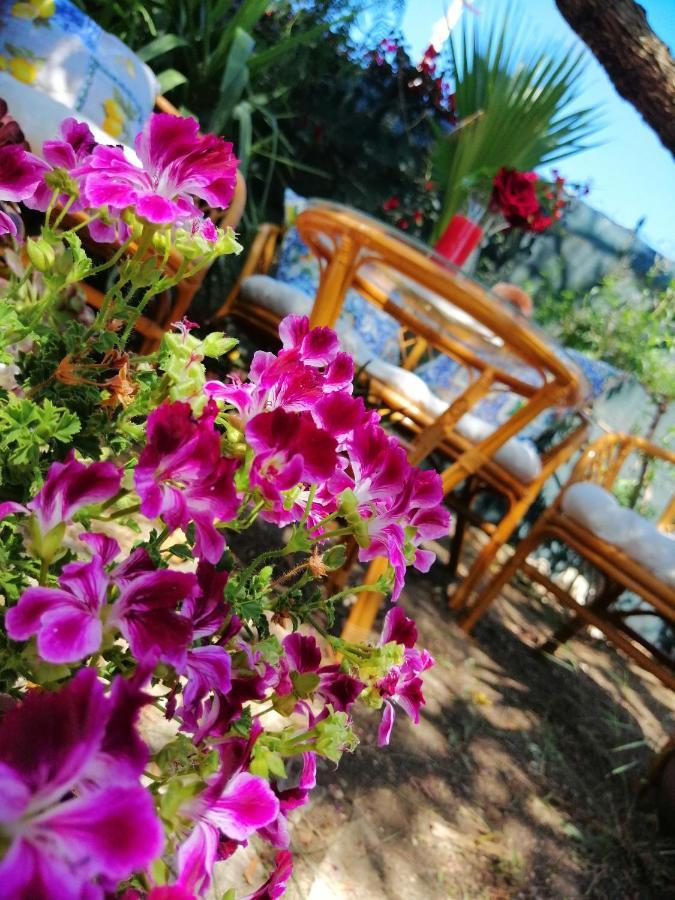 Bed and Breakfast Lumie Di Sicilia à Porto Empedocle Extérieur photo